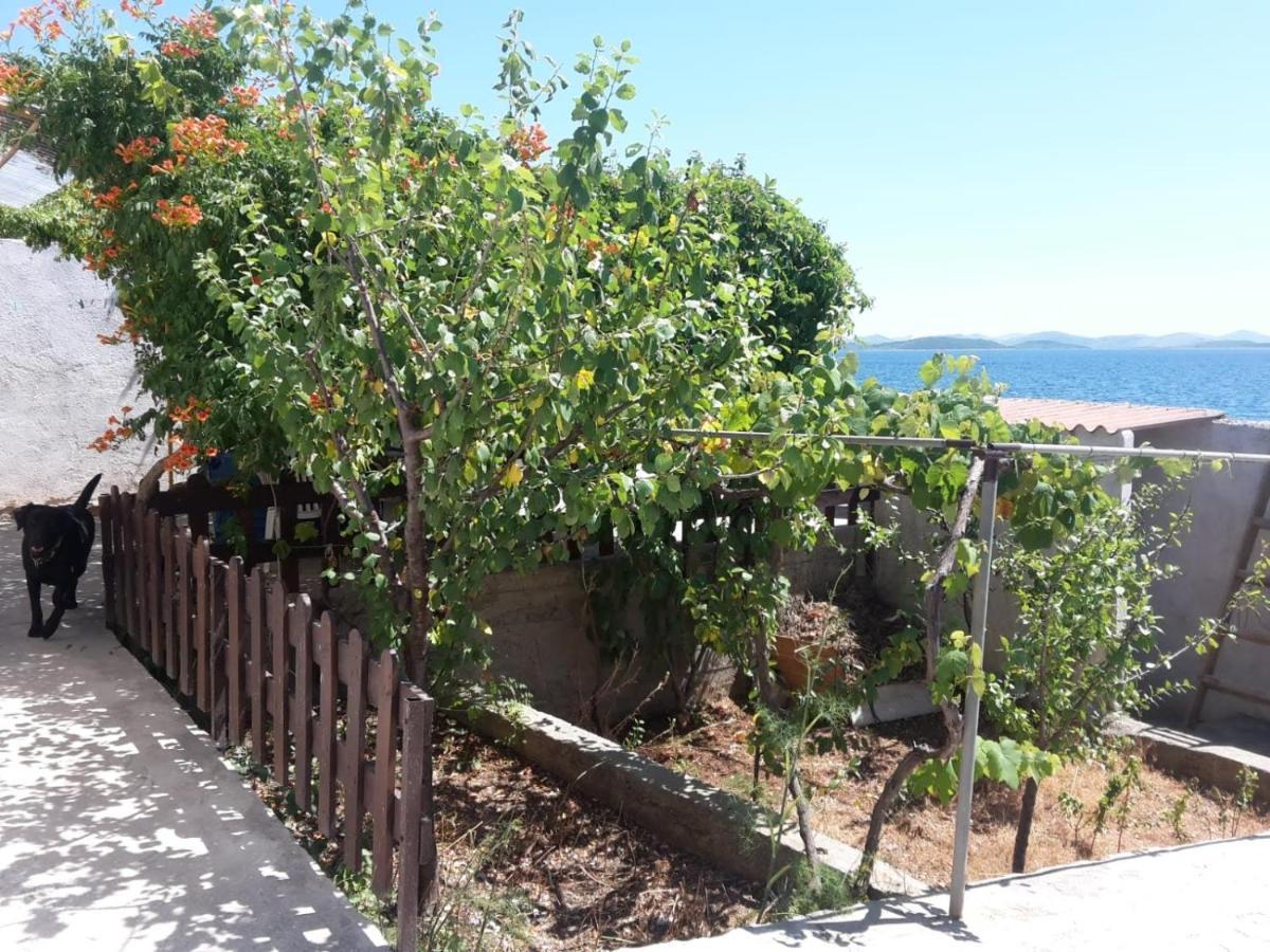 Villa Sea House Anka Banj Esterno foto
