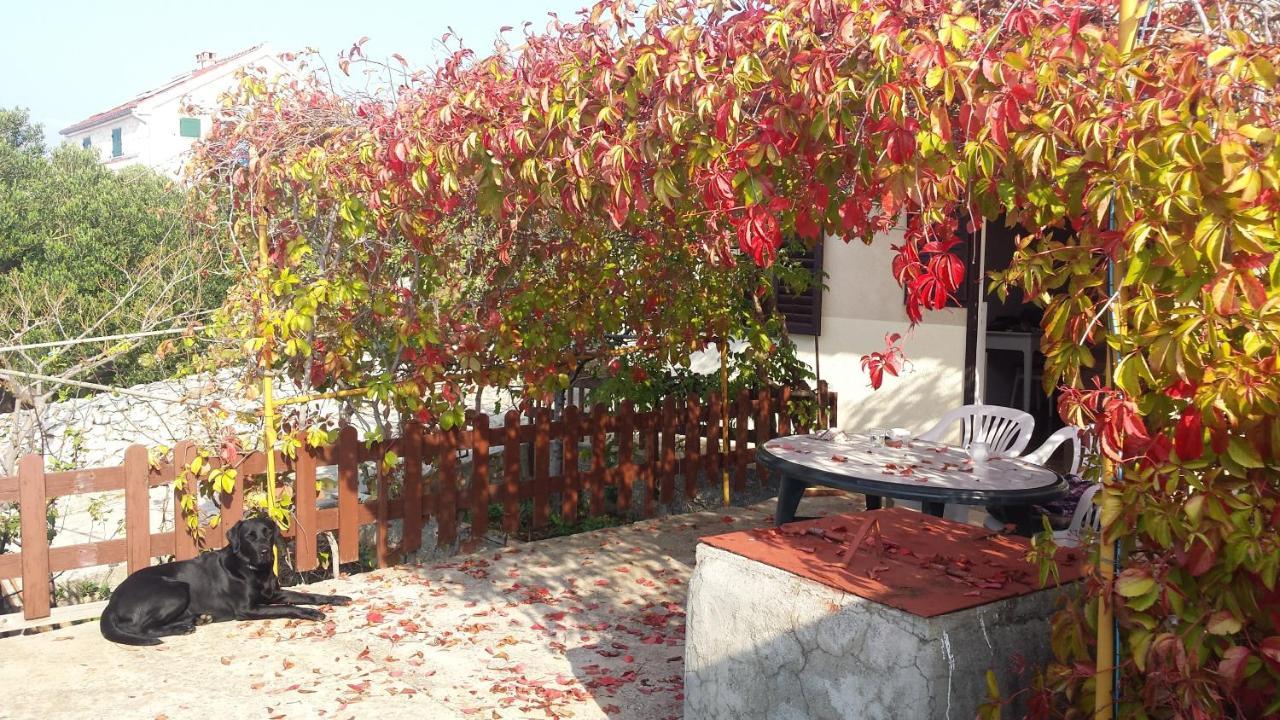 Villa Sea House Anka Banj Esterno foto