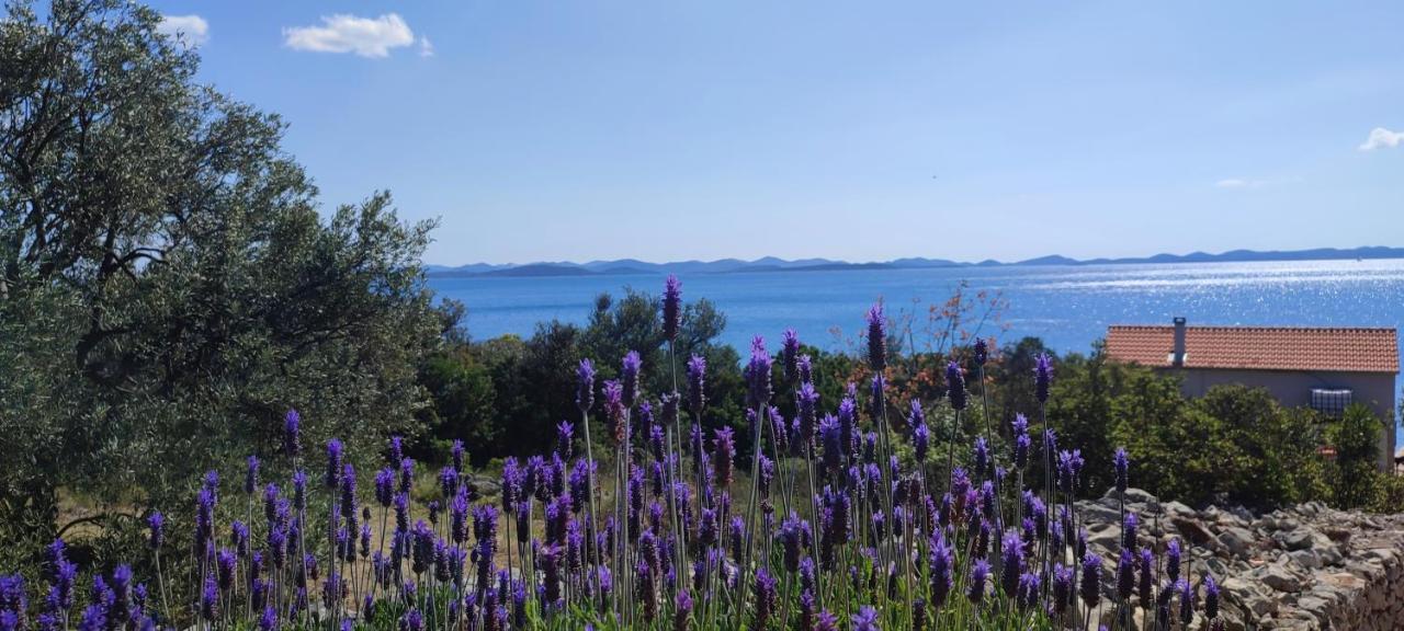 Villa Sea House Anka Banj Esterno foto